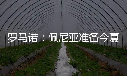 今夏家选罗马诺透露