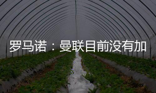 哲凯赖什只专注于加盟阿森纳