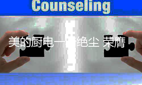 不止是厨电尘荣获奖产品
