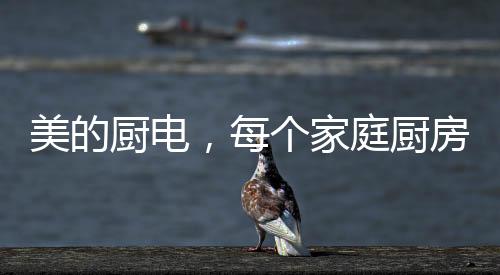 美的厨电三个帮;一个篱笆