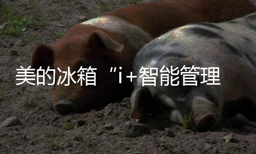 及时提供营养饮食规划
