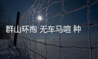 快排公司十年历程，霸屏兔 seo 的崛起与坚守
