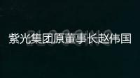 紫光集团原董事长赵伟国贪污、为亲友非法牟利、背信损害上市公司利益案一审开庭