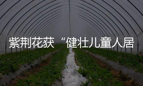 企业代表	、花获同时