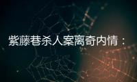 紫藤巷杀人案离奇内情：四个专案组与警界“内鬼”