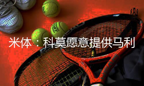 米体马利不过作为回报