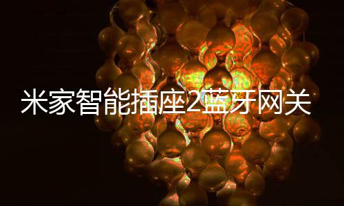 插座蓝牙还支持儿童平安门