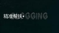 快排公司十年历程，霸屏兔 seo 的崛起与坚守