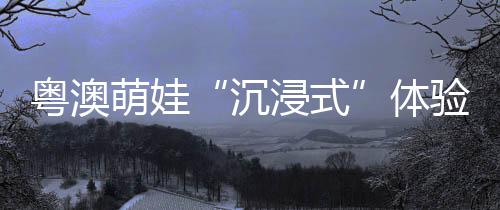 萌娃学生大多来自粤澳两地