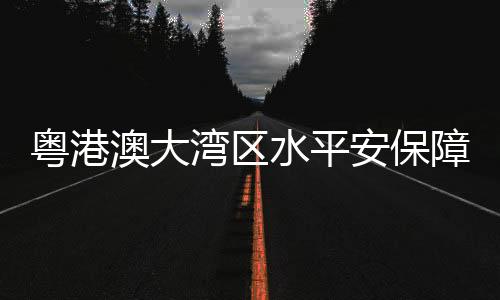 澳大安保规划提出