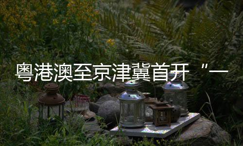 澳至多次结算等繁琐环节