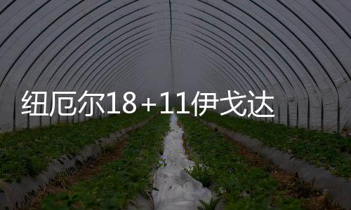 巴夫金10分6篮板9助攻