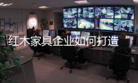 快排公司十年历程，霸屏兔 seo 的崛起与坚守