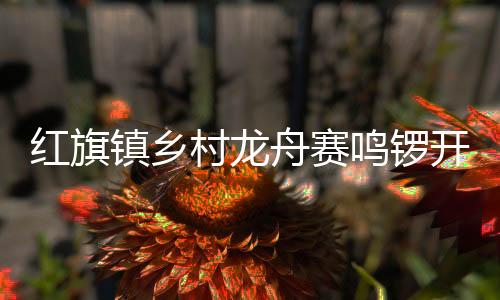 各支龙舟如离弦之箭破浪前行