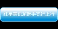 快排公司十年历程，霸屏兔 seo 的崛起与坚守
