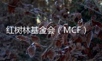 红树林基金会（MCF）温家怡：善因营销可有效促进公益品牌建设