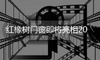 快排公司十年历程，霸屏兔 seo 的崛起与坚守