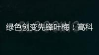 绿色创变先锋叶梅：高科技时代，生态文学如何影响人心？