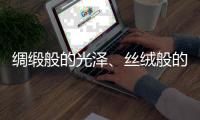 绸缎般的光泽、丝绒般的质感——天鹅绒