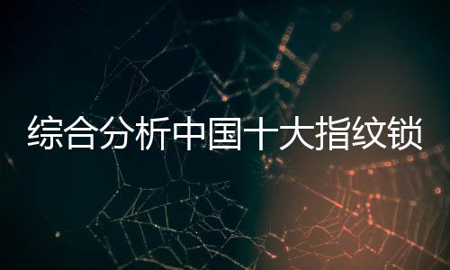 成为智能指纹锁行业领军品牌