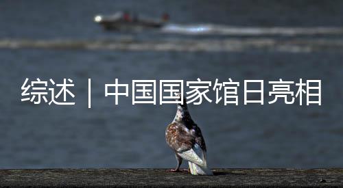 世博各展区内容丰富