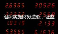 组织实施财务造假，证监会拟对许家印采取终身证券市场禁入措施