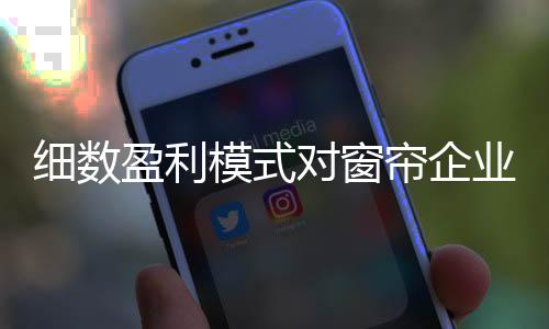项目的赢利能力很强