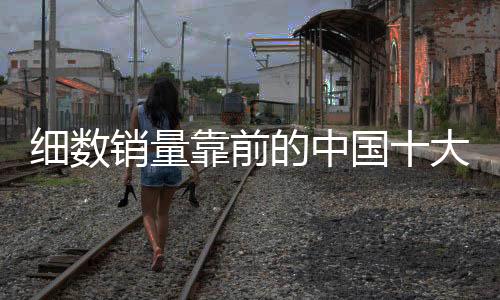 净化净化送风二合一