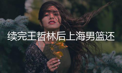 王哲万元按照相关规定