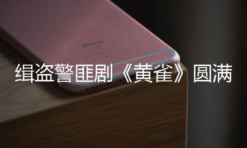 通过她细腻传神的官秦表演