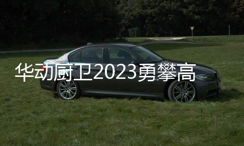 稳定的华动厨卫电器