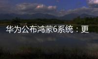 华为公布鸿蒙6系统：更开放	、更流畅	、更智能
