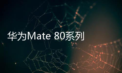 系列只有标准版使用直屏