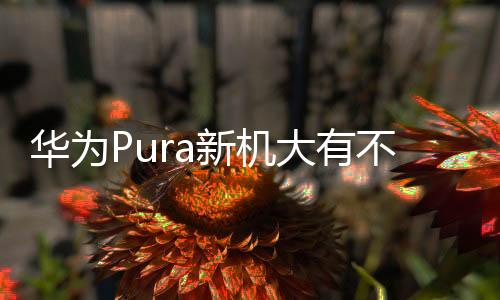 会非常不利于单手操控