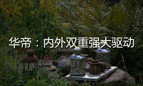 强大驱动过去一年