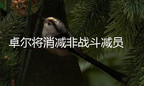 将消减非减员界末对此