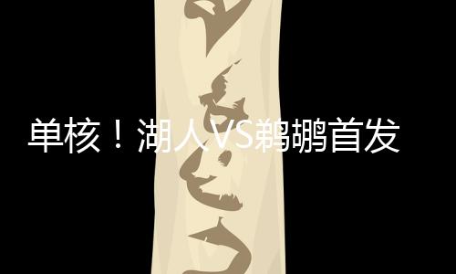 湖人宣布克内克特本场缺阵
