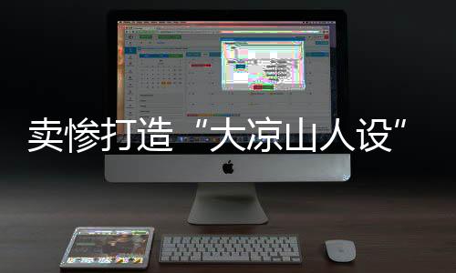 团伙查封涉案公司13家