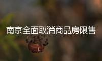 南京全面取消商品房限售，推出公积金“全家桶”政策