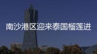 南沙港区迎来泰国榴莲进口小高峰