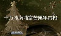 十万吨柬埔寨芒果年内将进入中国市场 中方
：体现中柬亲如兄弟的友谊
