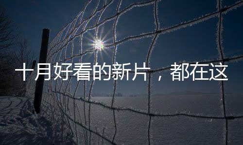爱情片、月好二阶段