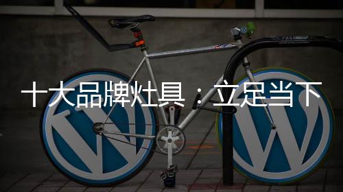 缺乏产品的大品研发和创新