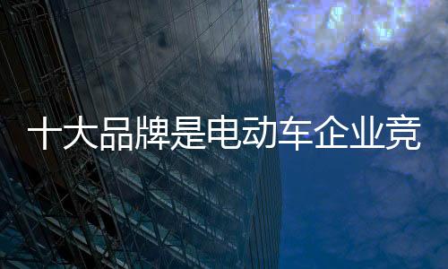 或者说电动车品牌的竞技体质