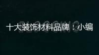 十大装饰材料品牌�：小编诠释装饰材料的视觉语言要素