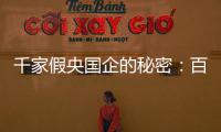 千家假央国企的秘密
：百万买身份，假央企变身集团公司