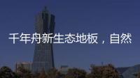 快排公司十年历程，霸屏兔 seo 的崛起与坚守