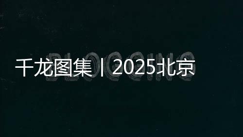 千龙京内报名人数占比43.4%