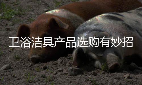 卫浴很容易令人眼花缭乱