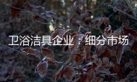 卫浴洁具企业：细分市场 重新规划布局